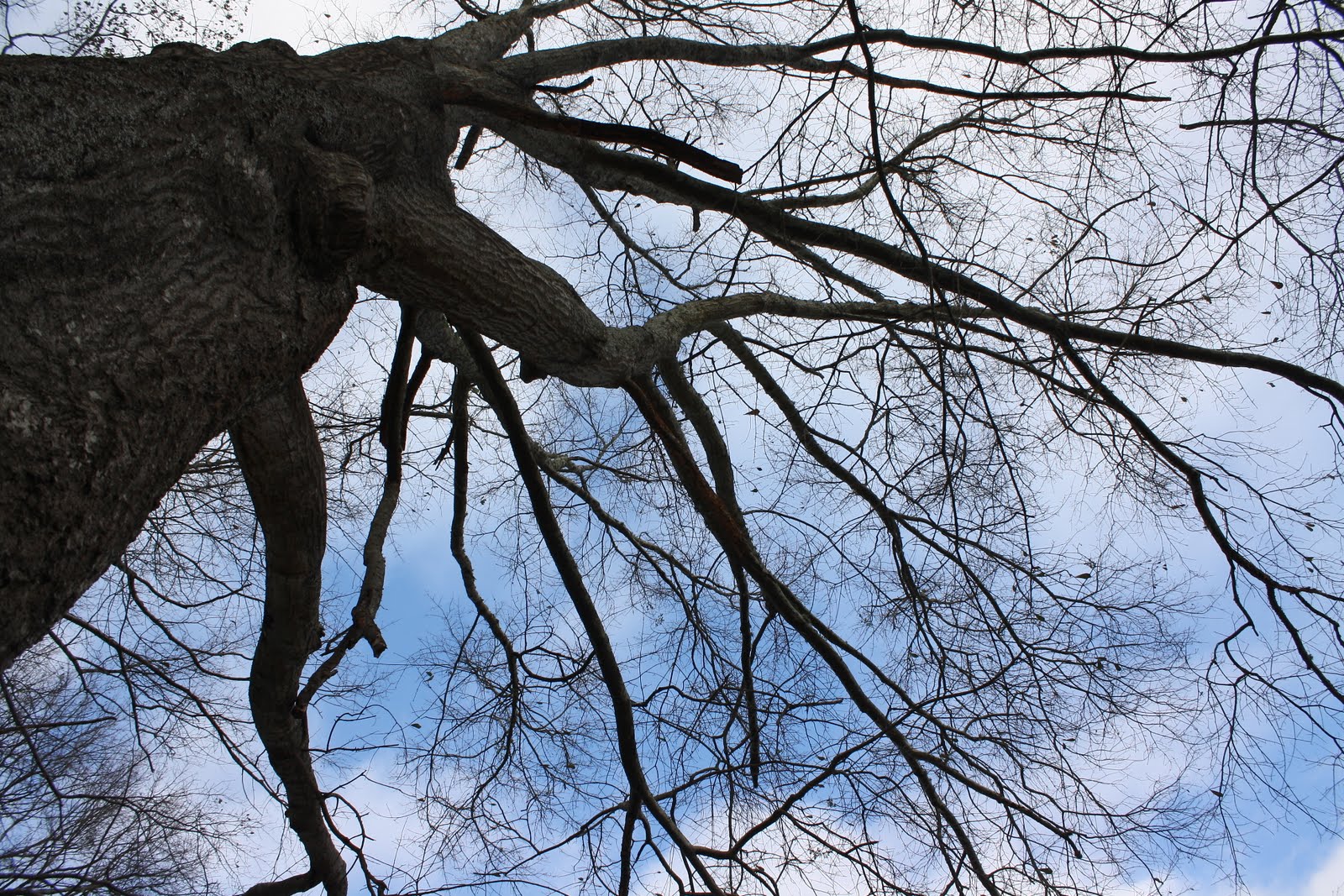 [IMG_4485.JPG]