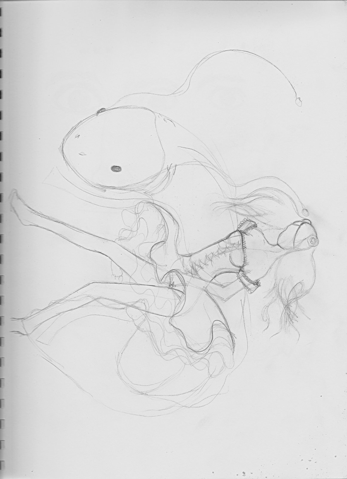 [Koi+-+sketch.jpg]