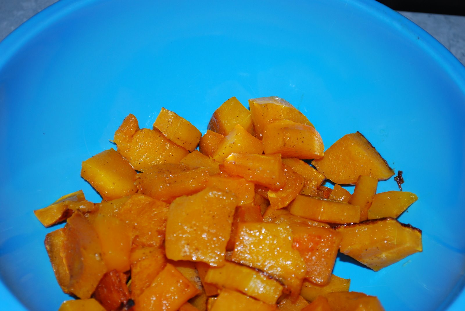 [butternut+squash+lasagna+001.JPG]