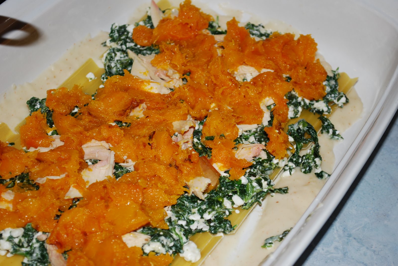 [butternut+squash+lasagna+007.JPG]