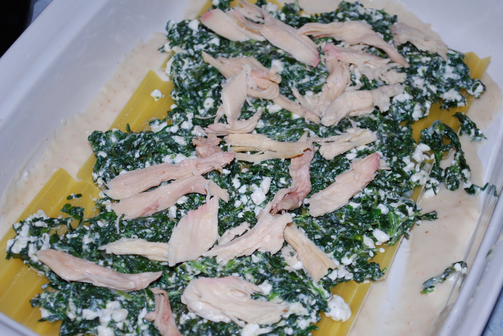 [butternut+squash+lasagna+006.JPG]