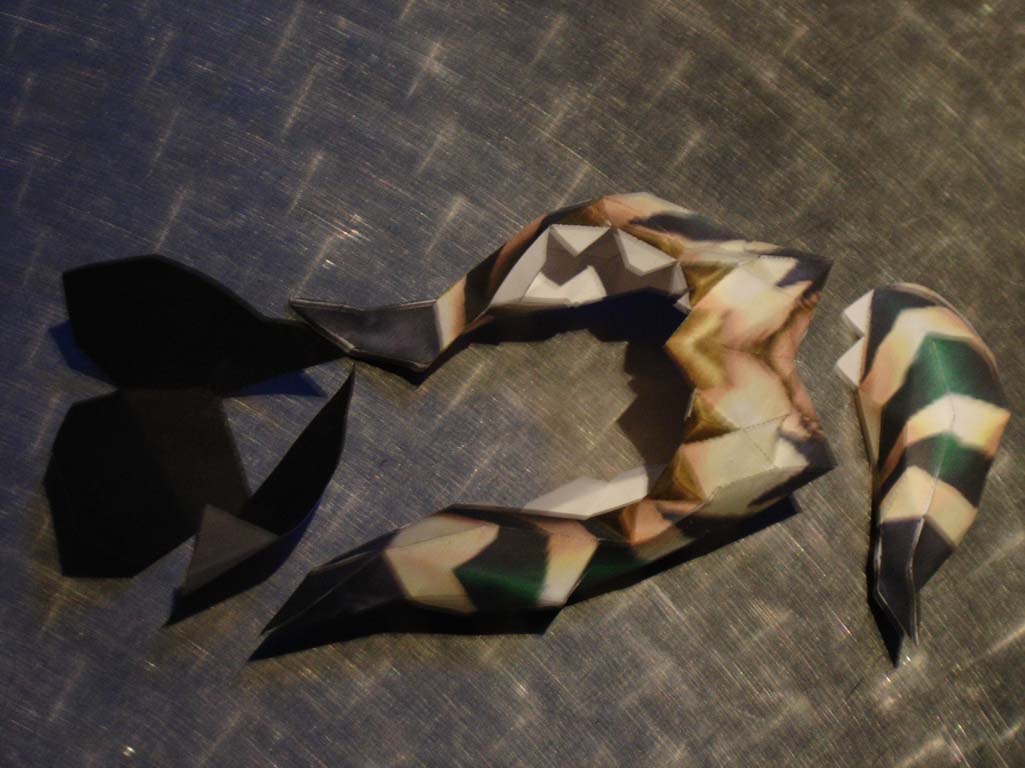 [DSC06541-771884.jpg]