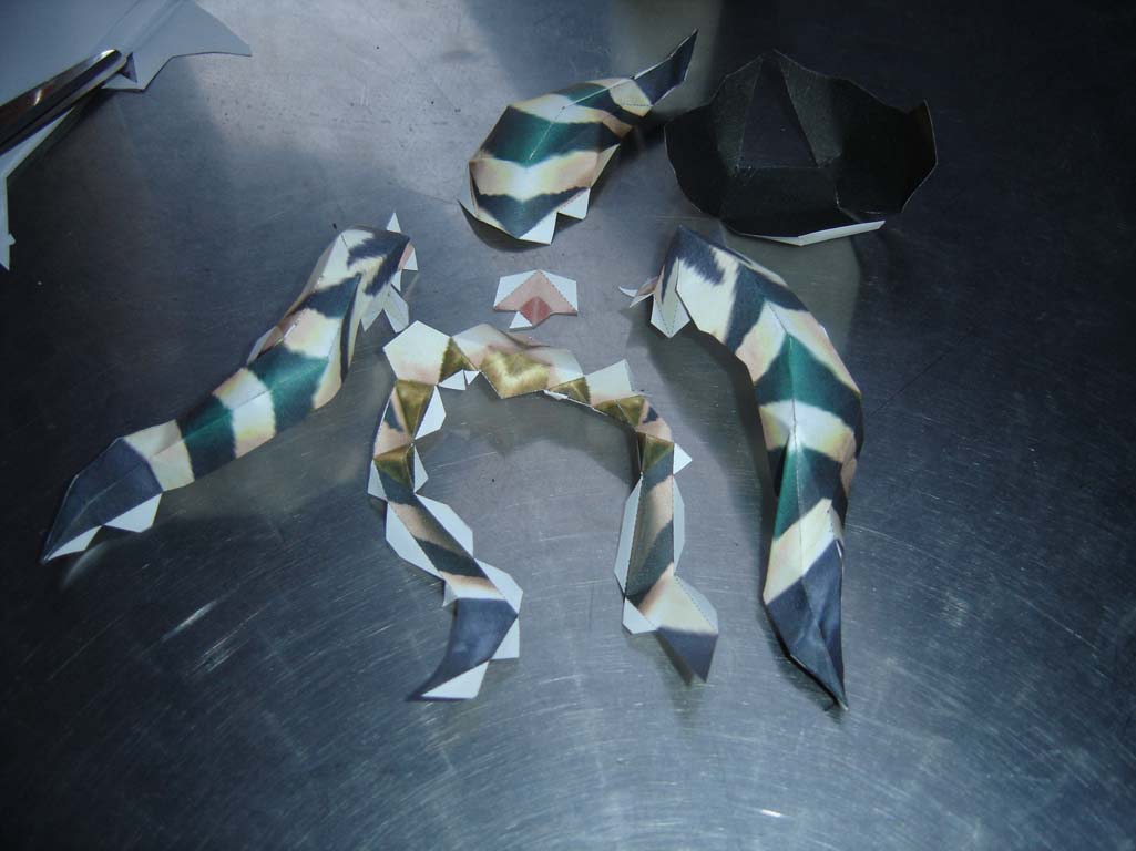 [DSC06538-771399.jpg]