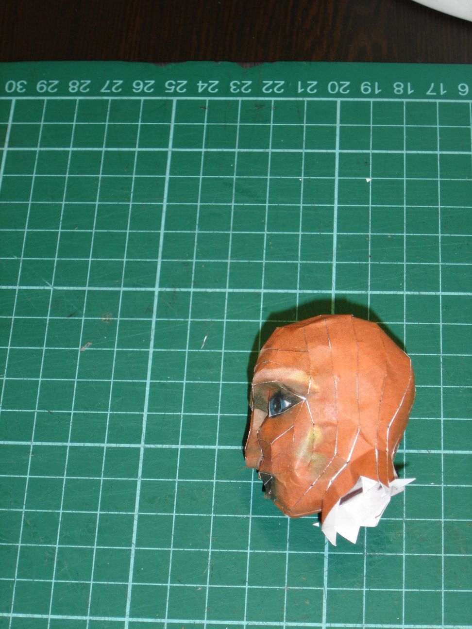 [DSC06769-758995.JPG]