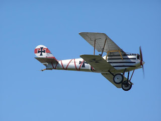 Pfalz DIII