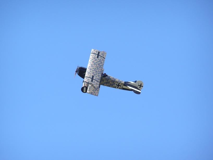 [PB163683_blogger.JPG]