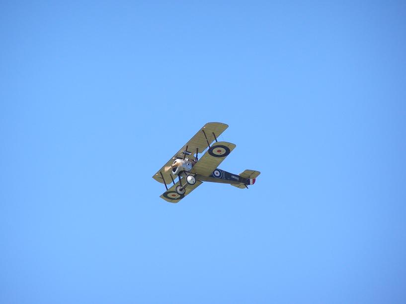 [PB163765_blogger.JPG]