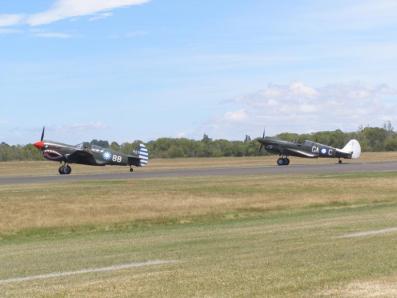 [P1184303_blogger.JPG]