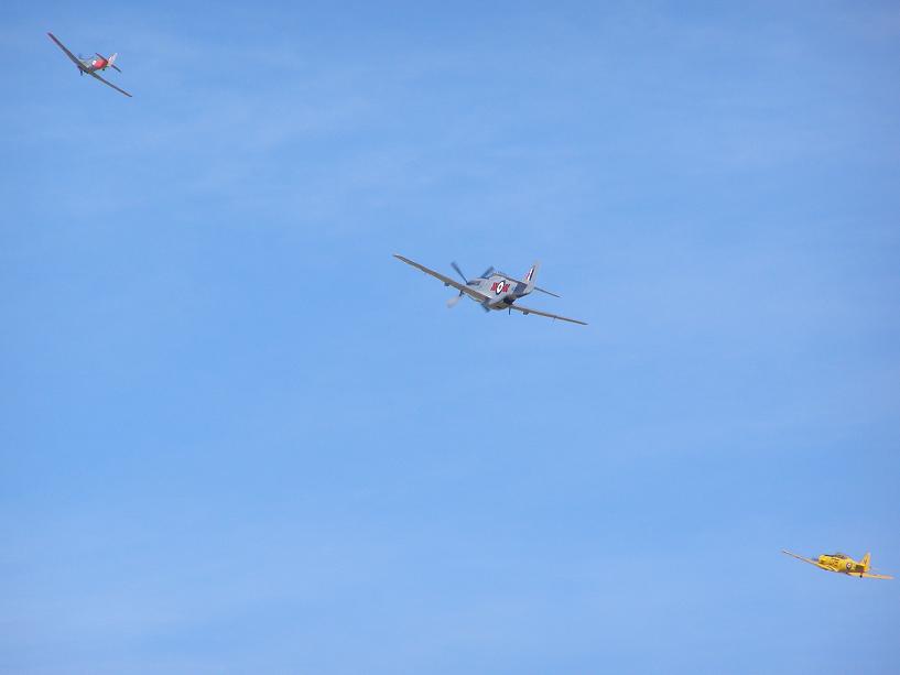 [P1184420_blogger.JPG]