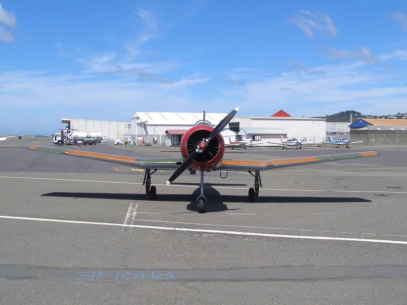 [P2064553_blogger.JPG]