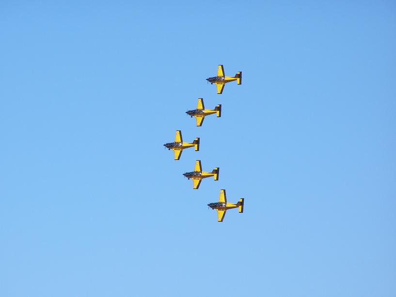 [P4115669_blogger.JPG]