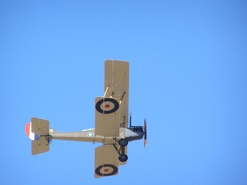 [P4115296_blogger.JPG]