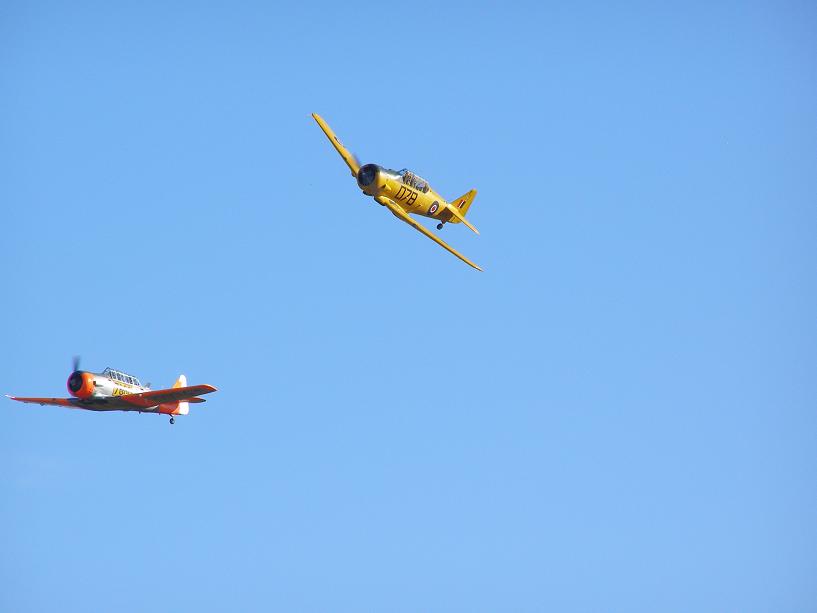 [P4115846_blogger.JPG]