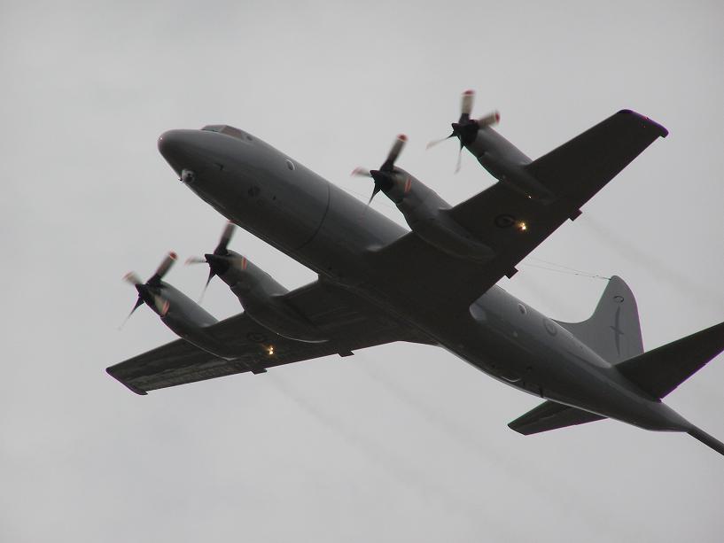 [P4255945_blogger.JPG]