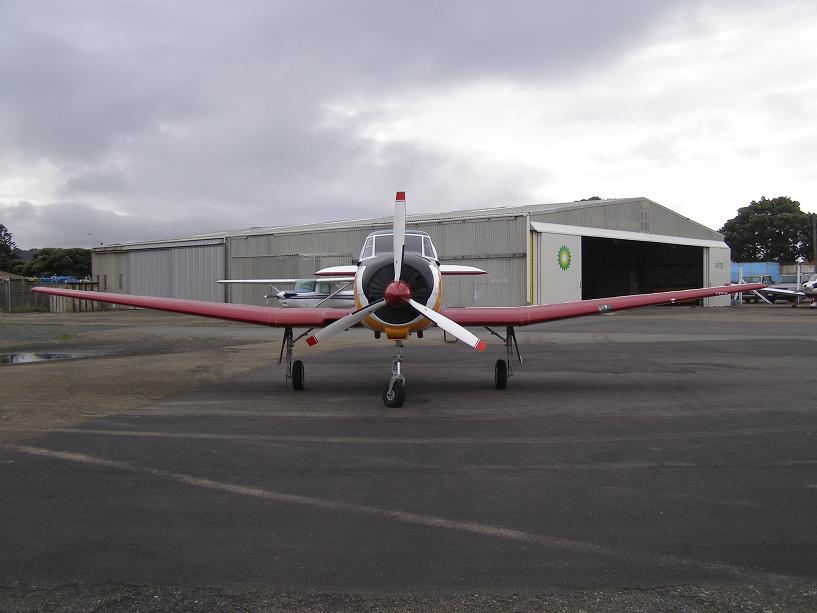 [P5305985_blogger.JPG]