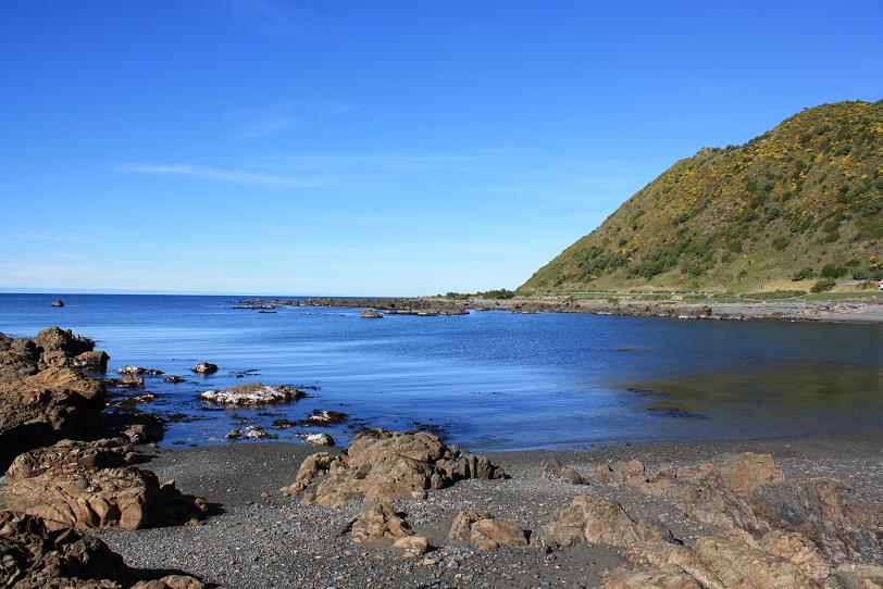 [IMG_0779_blogger.JPG]