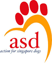 Video of ASD in Action