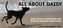 DARE TO BE DIFFERENT: ADOPT DAISY