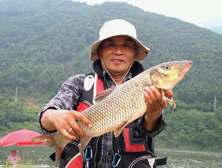 gyeonji fishing rod for sale