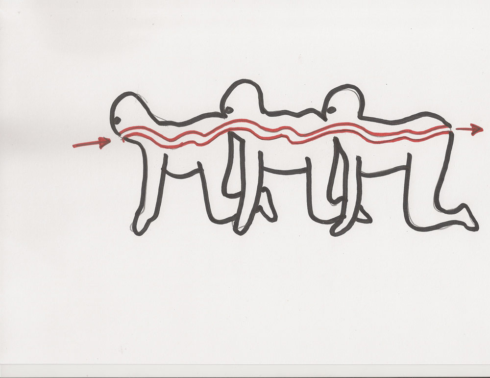 the-human-centipede-arte2.jpg