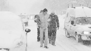 [viscol_59005500.jpeg]