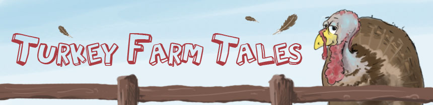 Turkey Farm Tales