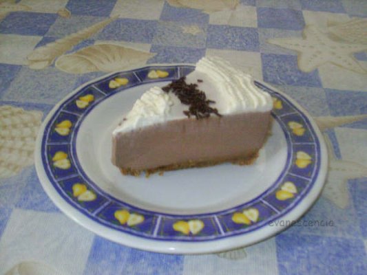 Trozo de tarta de queso y chocolate trozo de tarta