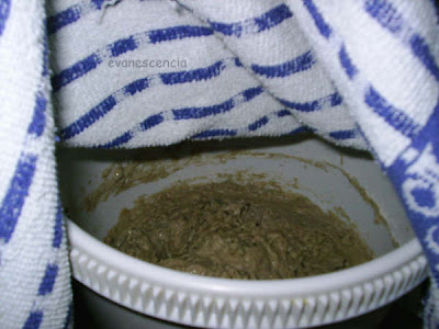 Dejamos reposar la masa tapada con un paño de cocina masa reposando
