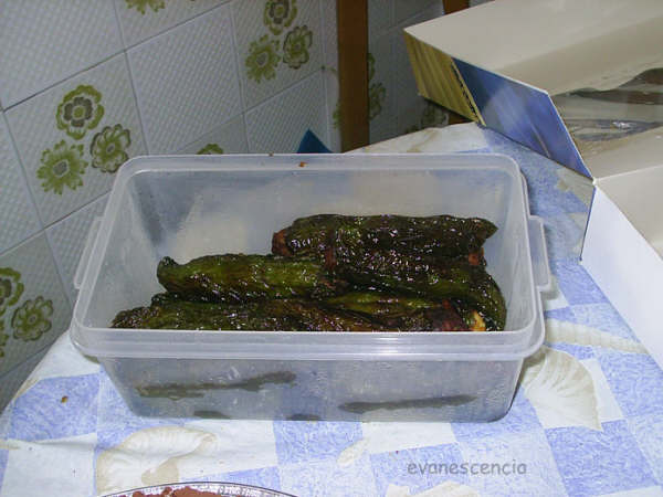 Pimientos rellenos de tortilla pimientos rellenos de tortilla