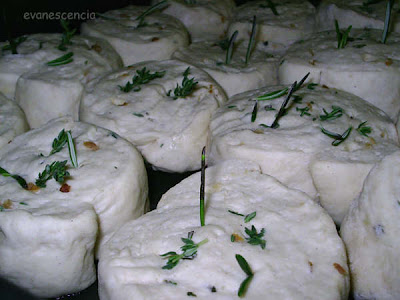 Focaccia levando focaccia levando