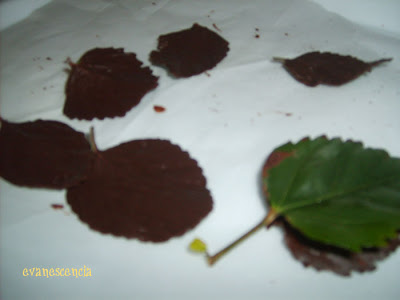 haciendo hojas de chocolate haciendo hojas de chocolate