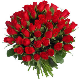 اسم اكتر عضو مفضل 100+roses+pic