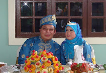 Majlis Perkahwinan Mohd Safwan (29/11/09)
