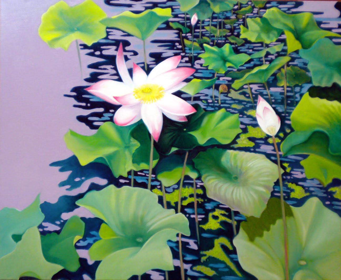 Lotus In Pond