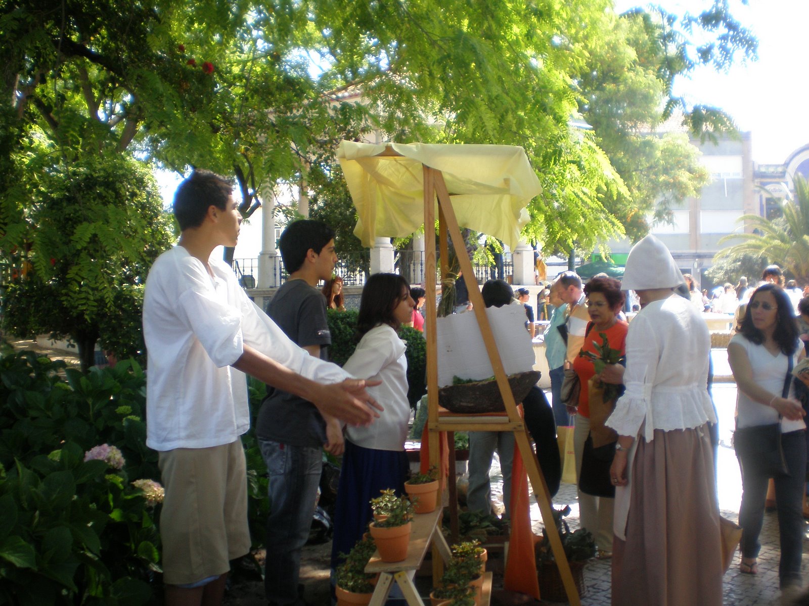 [Cópia+de+P6060047.JPG]