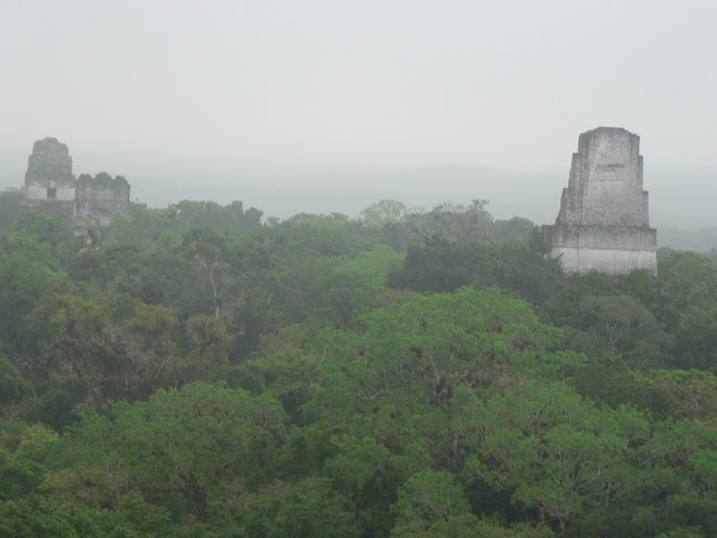 Tikal au leve du jour