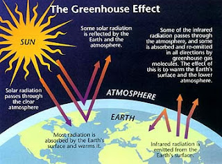 What are some facts about global climate change?