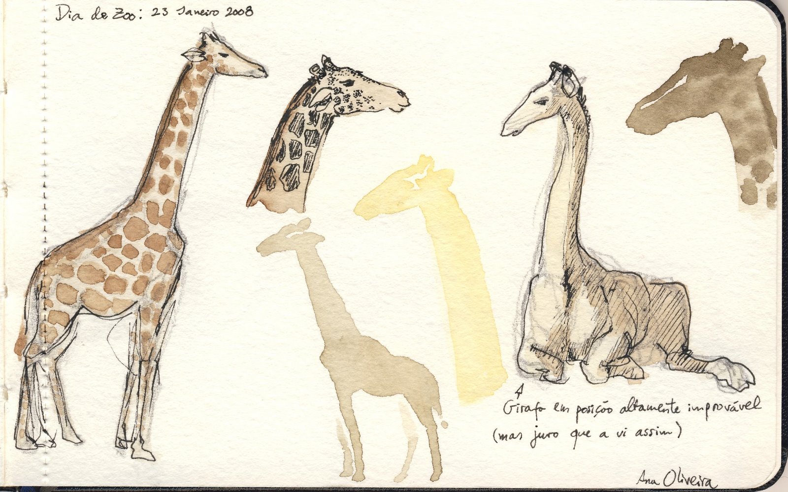 [girafas]