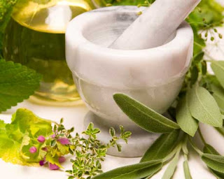 herbal for cancer herbs for cancer