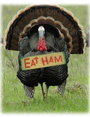 turkey+eat+ham.jpg