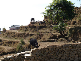 The Dry Season