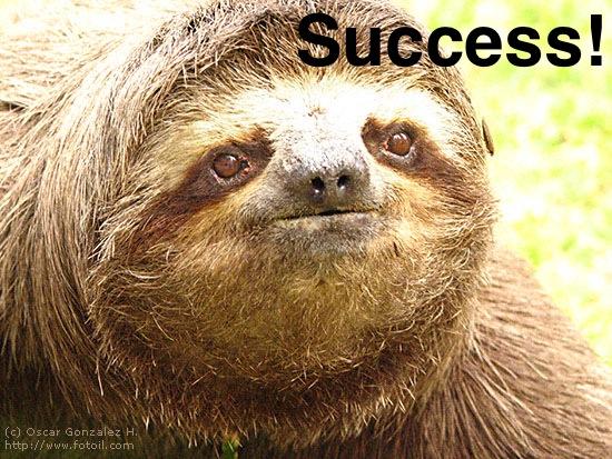 sloth1.jpg