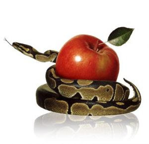 http://4.bp.blogspot.com/_2tiSWb9h0MQ/S3FGiuXSDcI/AAAAAAAAAbo/H8Oj6HCPgEc/s400/pecado-original.jpg