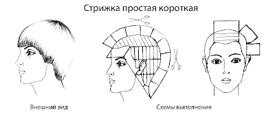 схема короткой стрижки женской