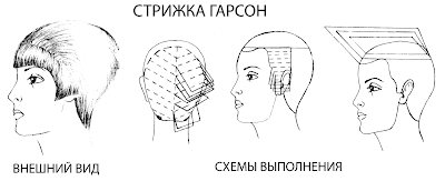 Схемы и технологии стрижки Схемы и технологии стрижки