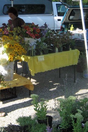 [b20080816_999_2.jpg]