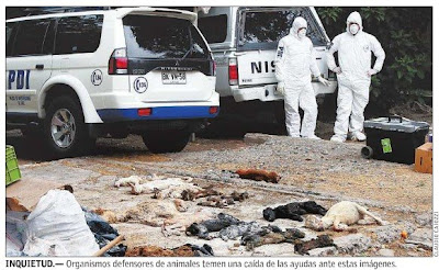 matanza de animales en la Sociedad Protectora de Animales - El Mercurio Diciembre 05, 2008