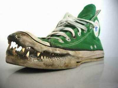 [corocodile-or-alligator-converse-funny-shoes.jpg]