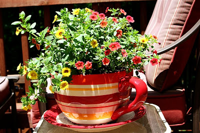 Large+teacup+planters