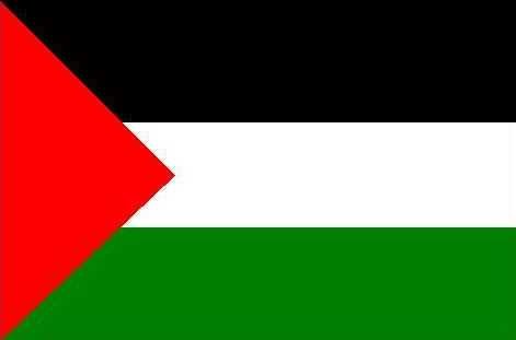 [PALESTINE+-+FLAG+01.bmp]